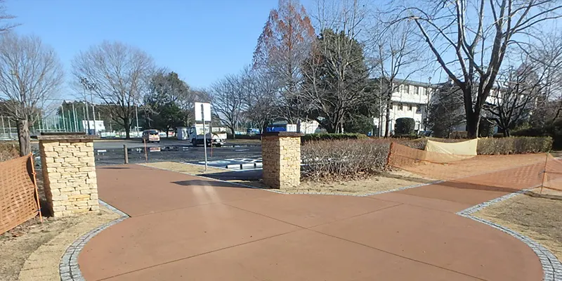 街路樹維持管理